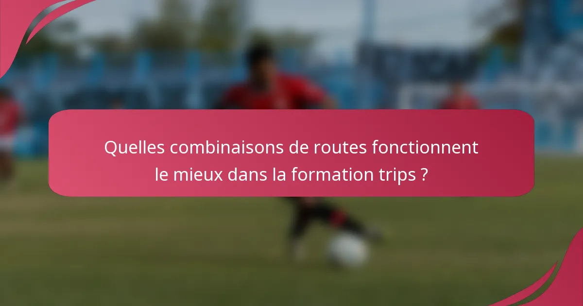 Quelles combinaisons de routes fonctionnent le mieux dans la formation trips ?